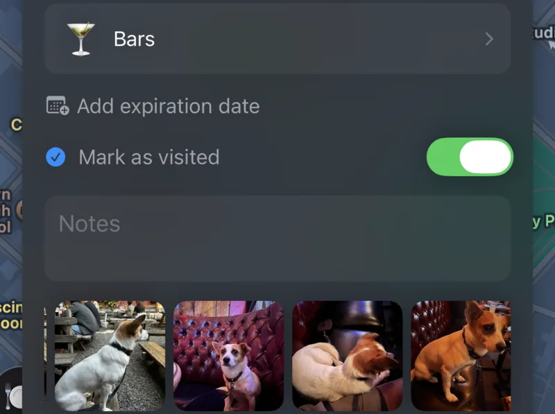 A saved bar's card: its category, Mark as visited switched on, a notes field, and four photos of a dog taken at the bar